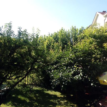 Vila Dudan Ohrid Eksteriør billede